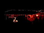 xmas0012.jpg