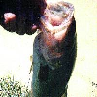 Two Rivers State Park, Nebraska - Lake 6