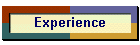 Experience