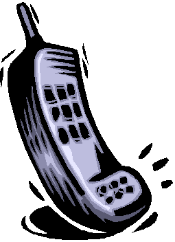 Cellular Phone Number