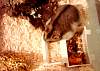148.jpg