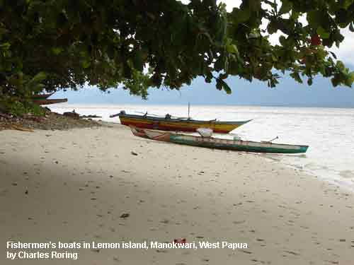 Fishermen's boats at the beach of Lemon island, Manokwari, West Papua. The photo was shot by Charles Roring