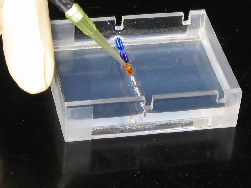 research papers on agarose gel electrophoresis research papers on agarose gel electrophoresis