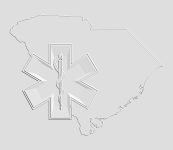 South Carolina background