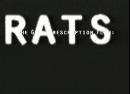 rats