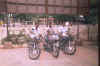 bike-pooja.jpg (27285 bytes)