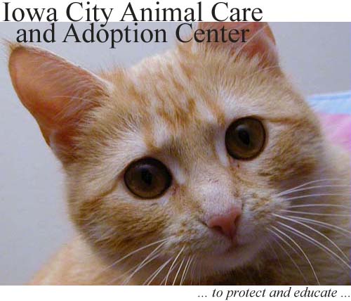 Click here to see what this shelter has to offer.
