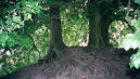 Glastonbury 2000, my big adventure!