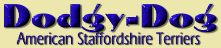DodgyDog Logo - copyrighted!