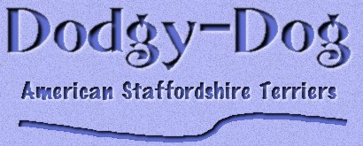 DodgyDog Logo - copyrighted!