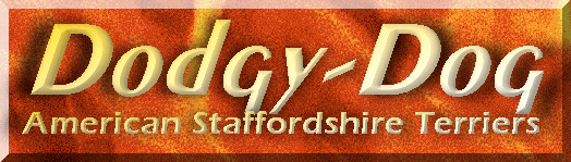 DodgyDog Logo - copyrighted!