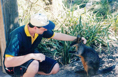 stupid animal (not wallaby)