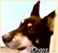 Chaos