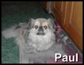 Paul