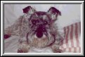 Pepper