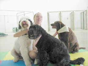 More Happy Dogs