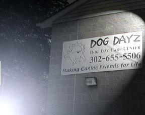 Grand Opening Banner