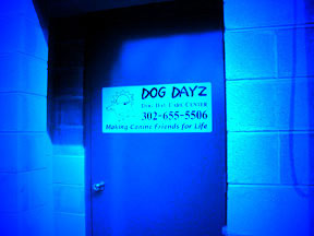 Dog Dayz Entrance