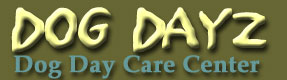 Dog Dayz Dog Day Care Center