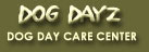 Dog Dayz Dog Day Care Center