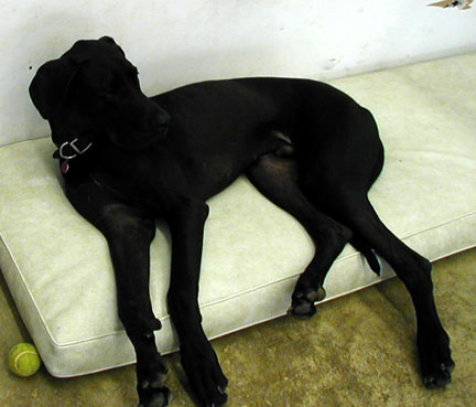 Knute Relaxes