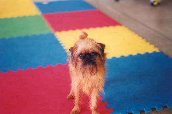 MacDuff