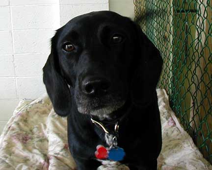 Maggie