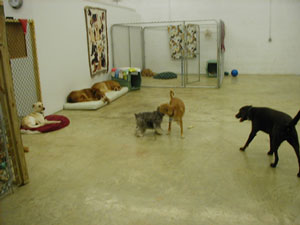Play Time