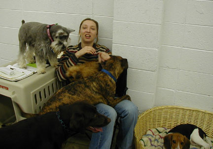 Teacher's Pets