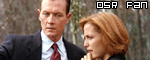 Hey, Mulder's gonna break down someday.&nbsp; Best to get out of that relationship now, Scully.&nbsp; Be Smart!