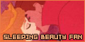 'Sleeping Beauty': I know you, I walked with you once upon a dream....