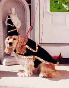 I'm Janie dressed as a wizard.