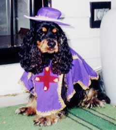 Hi I am Mille and I'm a musketeer