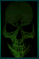 No, no... the HUMAN skull!
