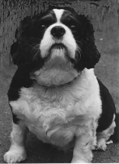 Whose a pretty boy then?