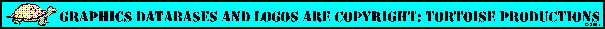 Tortoise Logo
