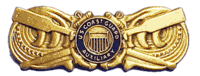 Graphic of Auxiliary Coxswain Pin