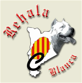 ENTRADA-Rehala Blanca Dogos Argentinos