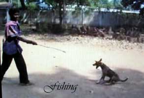 fishing practice