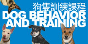 SPCA Train