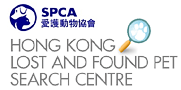 SPCA Lost Dog