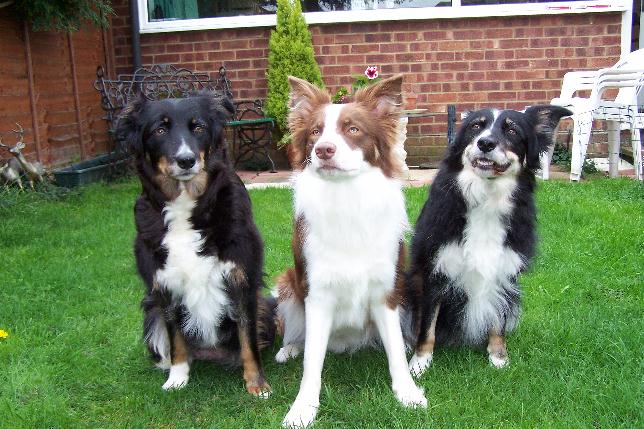 Cody, Tyto & Lily