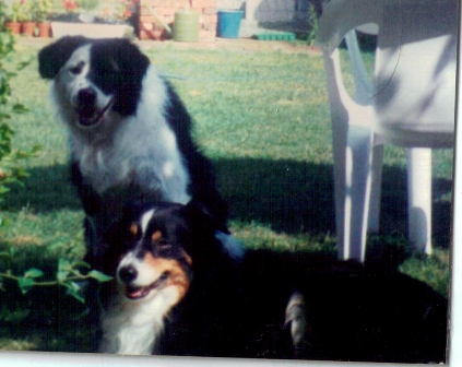 Bobby & Alpha