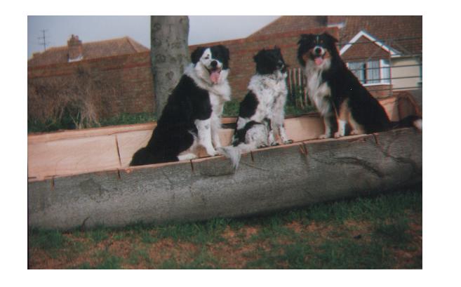 Bobby, Trudy & Alpha