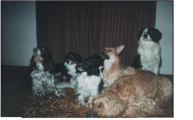 Group meeting