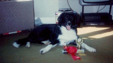 Remy