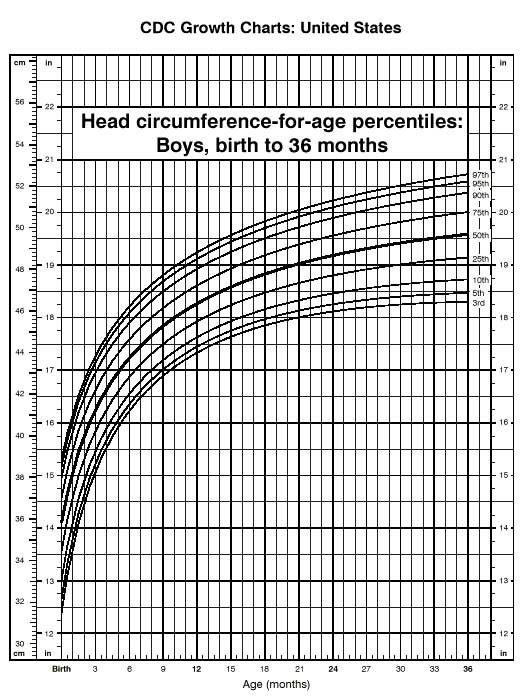 Newborn Head Circumference Chart