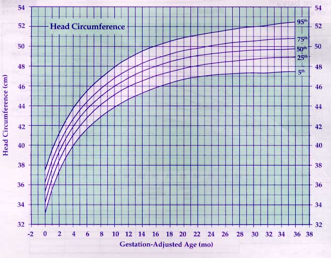 Premature Growth Chart Cdc