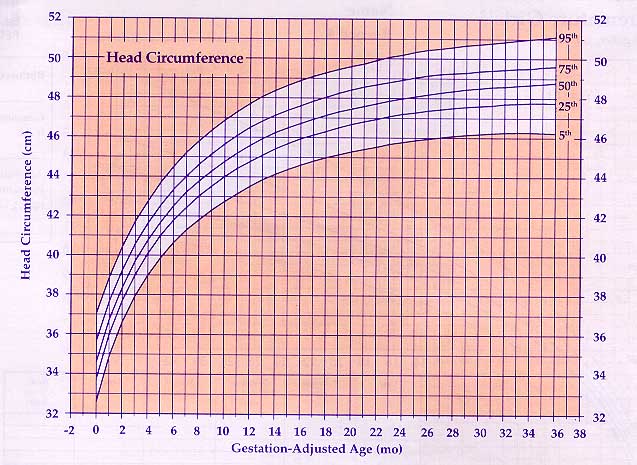 Female Infant Growth Chart