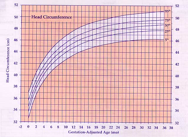 Normal Head Circumference Chart